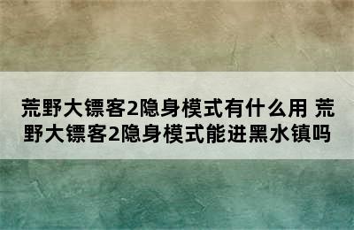 荒野大镖客2隐身模式有什么用 荒野大镖客2隐身模式能进黑水镇吗